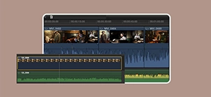 Final Cut Pro Audio Editing 